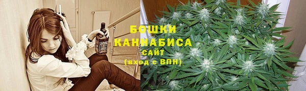крисы Зерноград